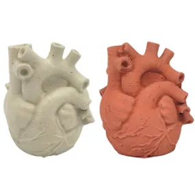 Anatomical Heart Concrete Planter