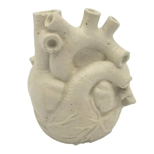 Anatomical Heart Concrete Planter
