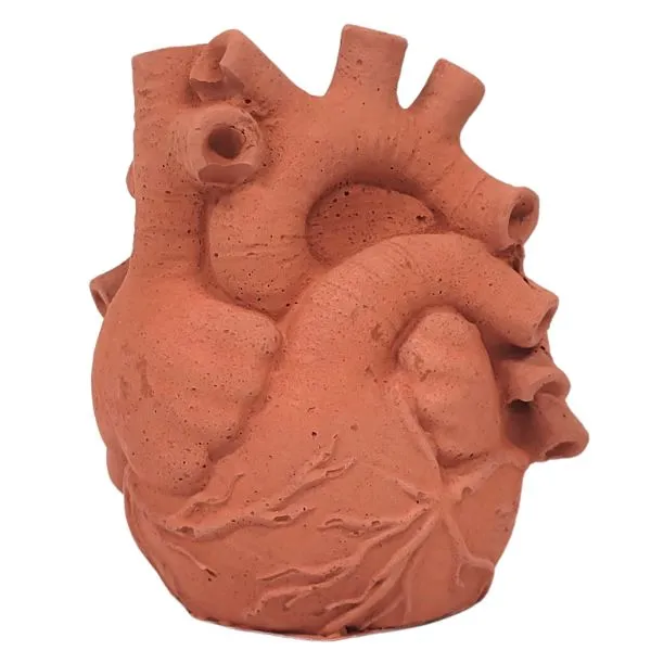 Anatomical Heart Concrete Planter