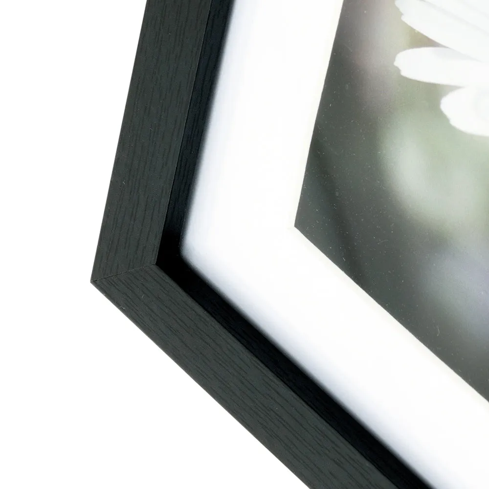 Kington Shadow Box Series