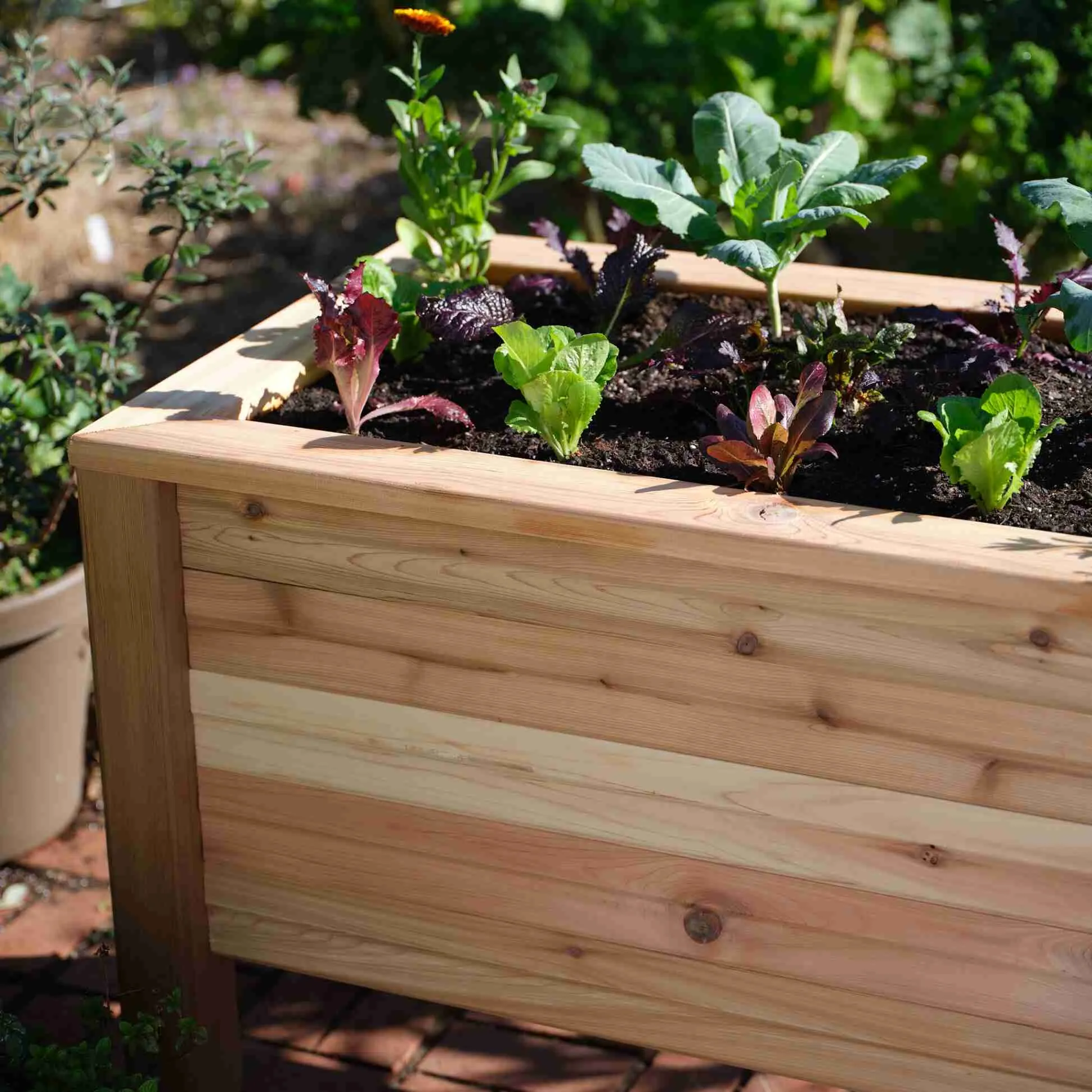 Large Cedar Elevated Planter 25.5" x 91" x 31"
