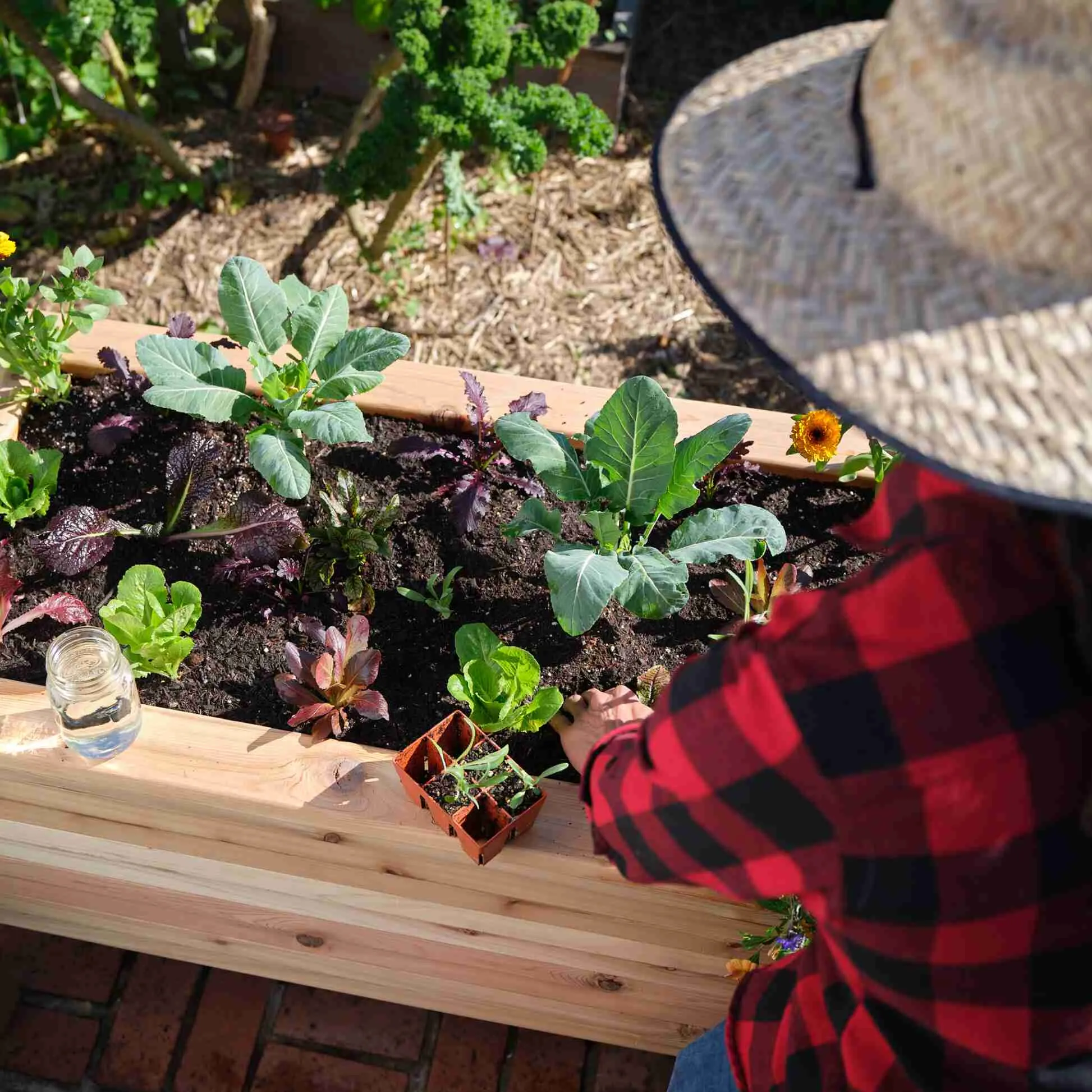 Large Cedar Elevated Planter 25.5" x 91" x 31"