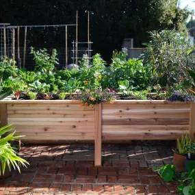 Large Cedar Elevated Planter 25.5" x 91" x 31"