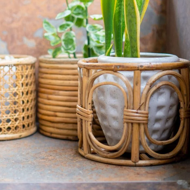 Sawyer Natural Fibre Planter