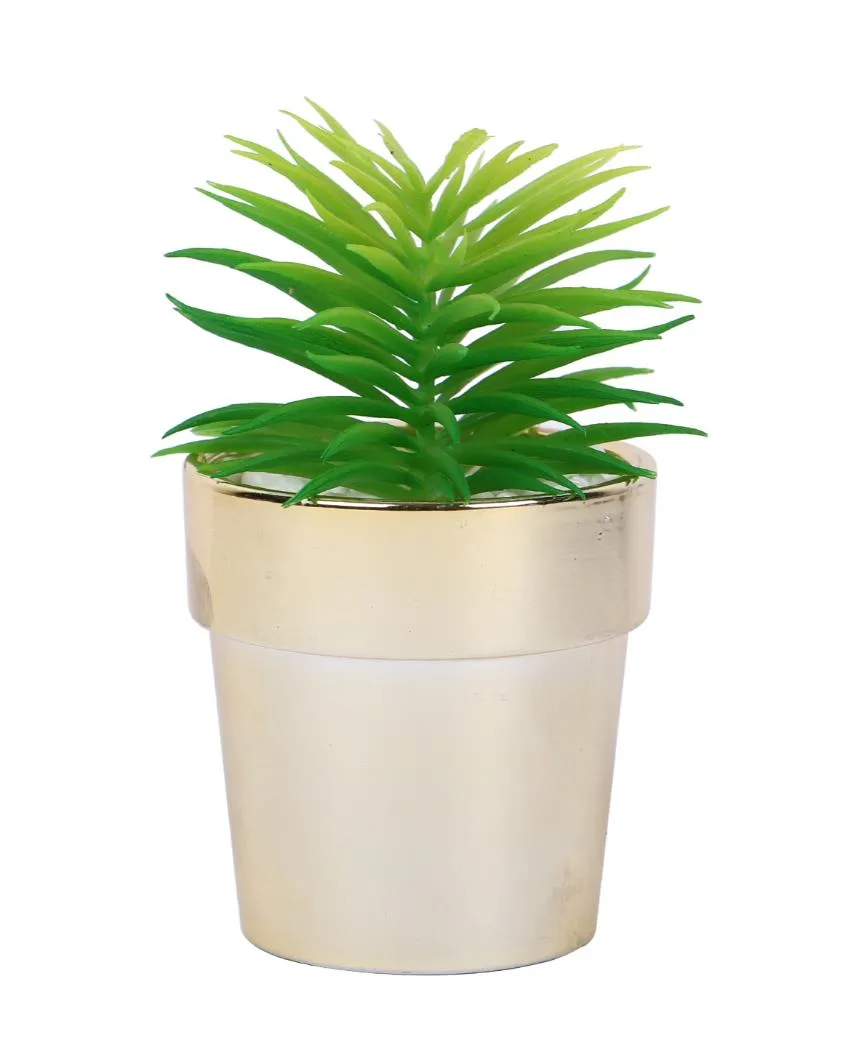 Subtle Succulents Artificial Plant with Ceramic Pot | 6 inches